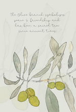 The Olive Branch Collection—set of 4