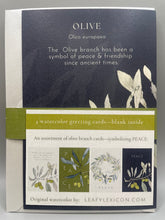 The Olive Branch Collection—set of 4