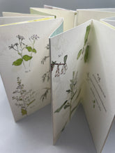 Hidden Blooms of the Forest—a special limited edition book.
