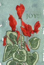 Winter Beauty—Boxed set of 8