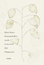 Winter Peace—Boxed set of 8