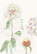 Cultivating Good Growth–Boxed set of 6