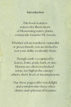 Hidden Blooms of the Forest—a special limited edition book.