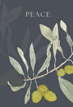 The Olive Branch Collection—set of 4