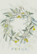 The Olive Branch Collection—set of 4