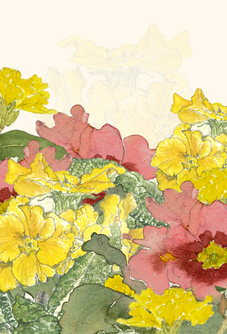 Primrose greeting card