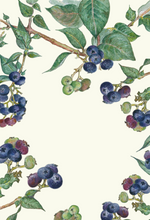 Choice Fruits—boxed set of 8