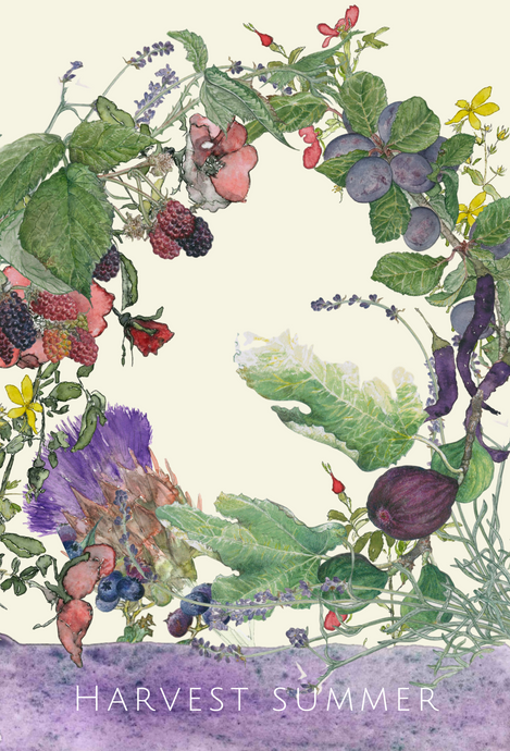 HARVEST summer greeting card