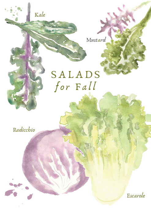 Fall Salad Greeting Card