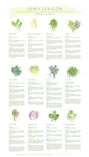Common Guide
