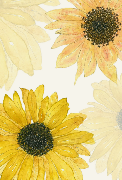 Sunflower greeting card