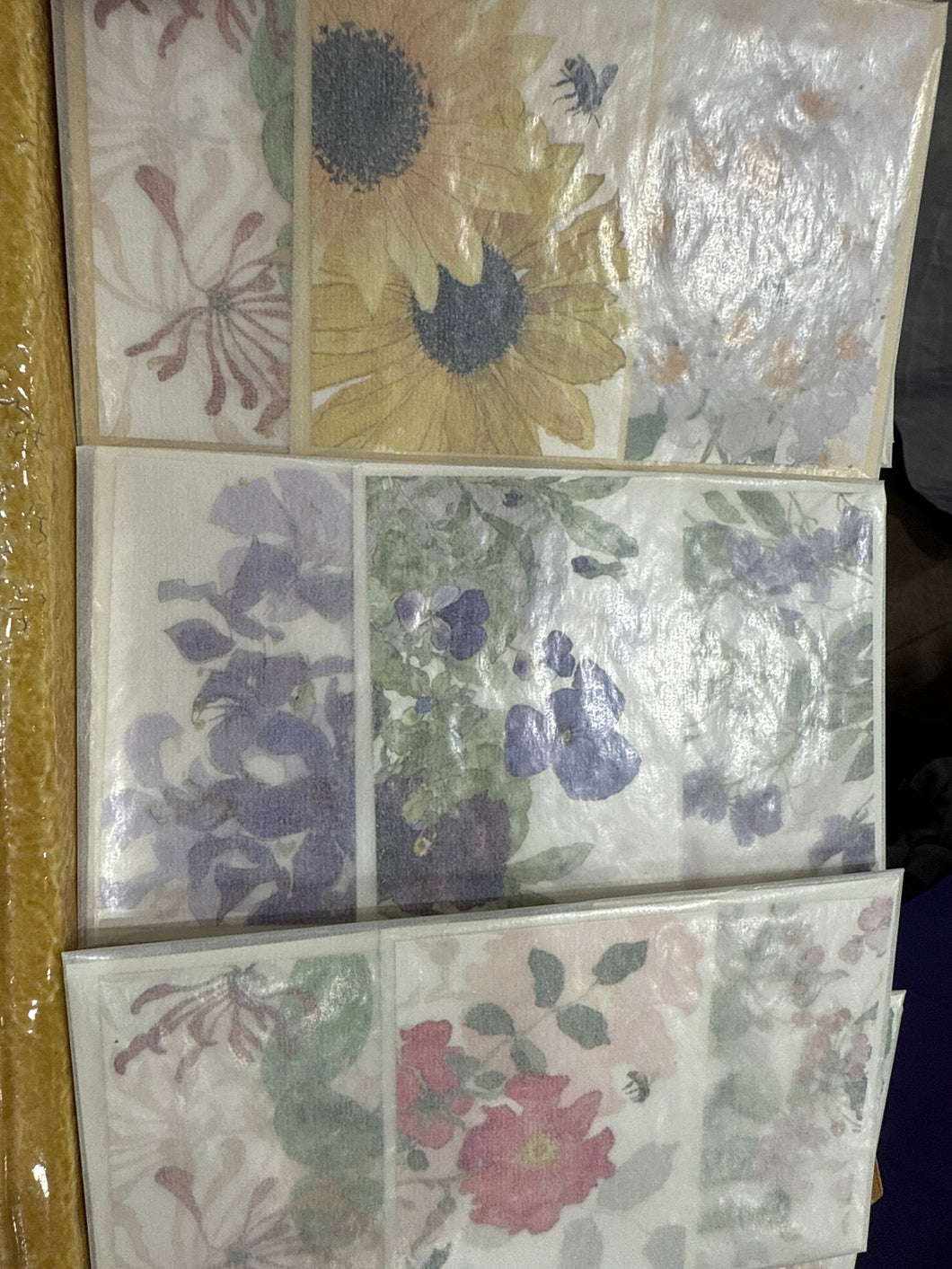 Botanical Enclosure Cards