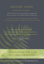 FERN greeting card