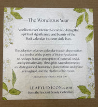 The Wondrous Year
