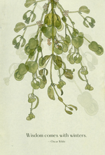 Mistletoe, greeting card
