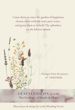 A noble soul...(prayer for the departed) greeting card