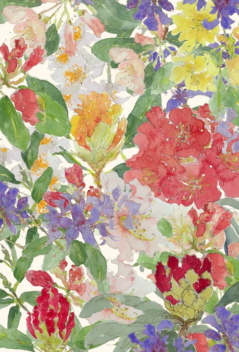 Rhododendron Garden greeting card