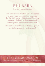 Rhubarb greeting card