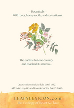 'Rose of Love' greeting card