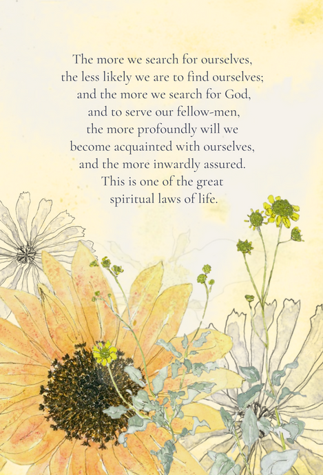 Search, greeting card