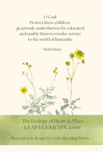 Tender seedling greeting card