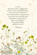 Tender seedling greeting card
