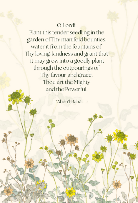 Tender seedling greeting card