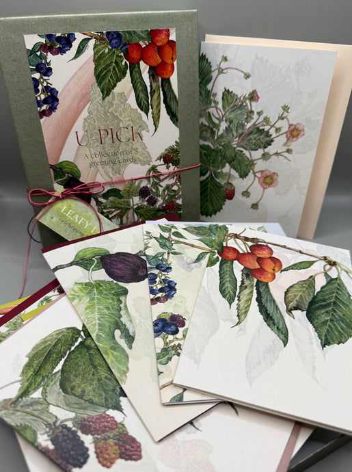 U-pick fruits—boxed set of 8