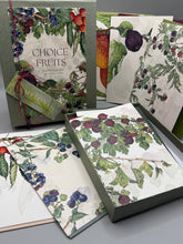 Choice Fruits—boxed set of 8