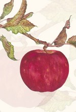 Apple greeting card