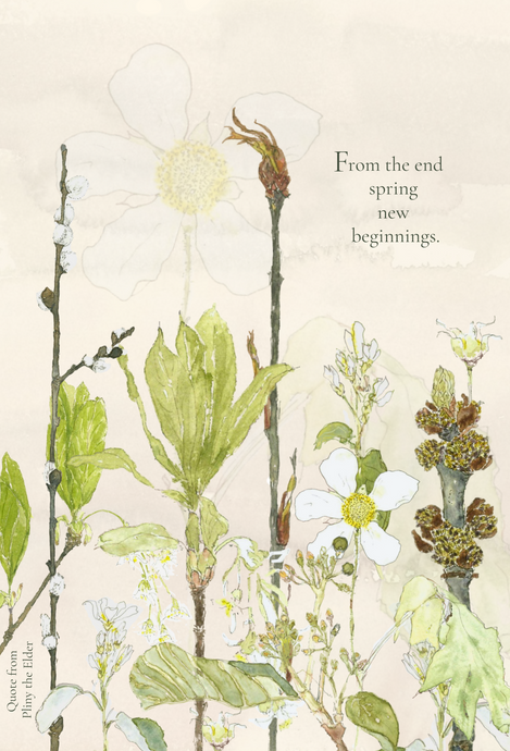 'New Beginnings' greeting card