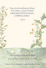 'Organize Peace' greeting card