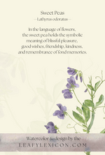 Sweet Pea greeting card