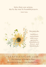 'Thousand Ways' greeting card