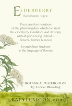 Elderberry greeting card