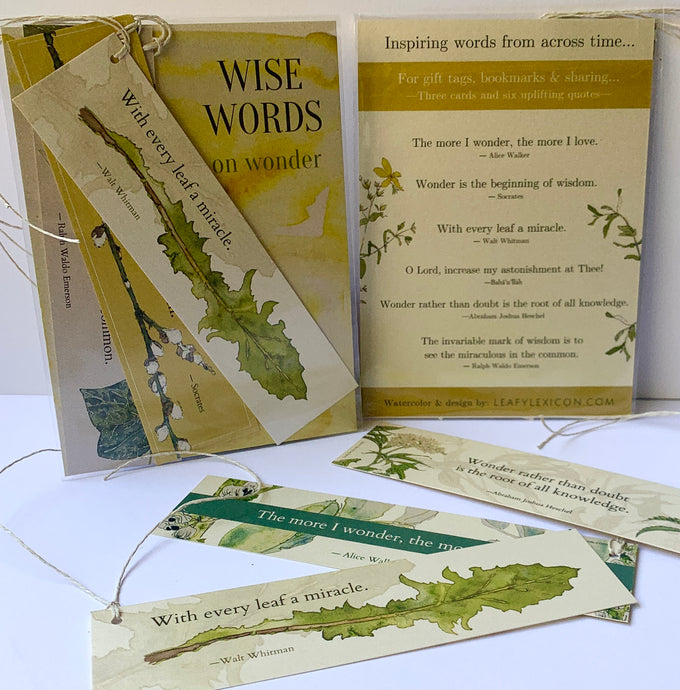 Set of 3 Wise Words Bookmarks —on the theme of WONDER