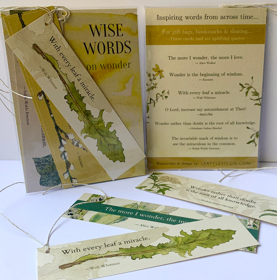 Set of 3 Wise Words Bookmarks —on the theme of WONDER