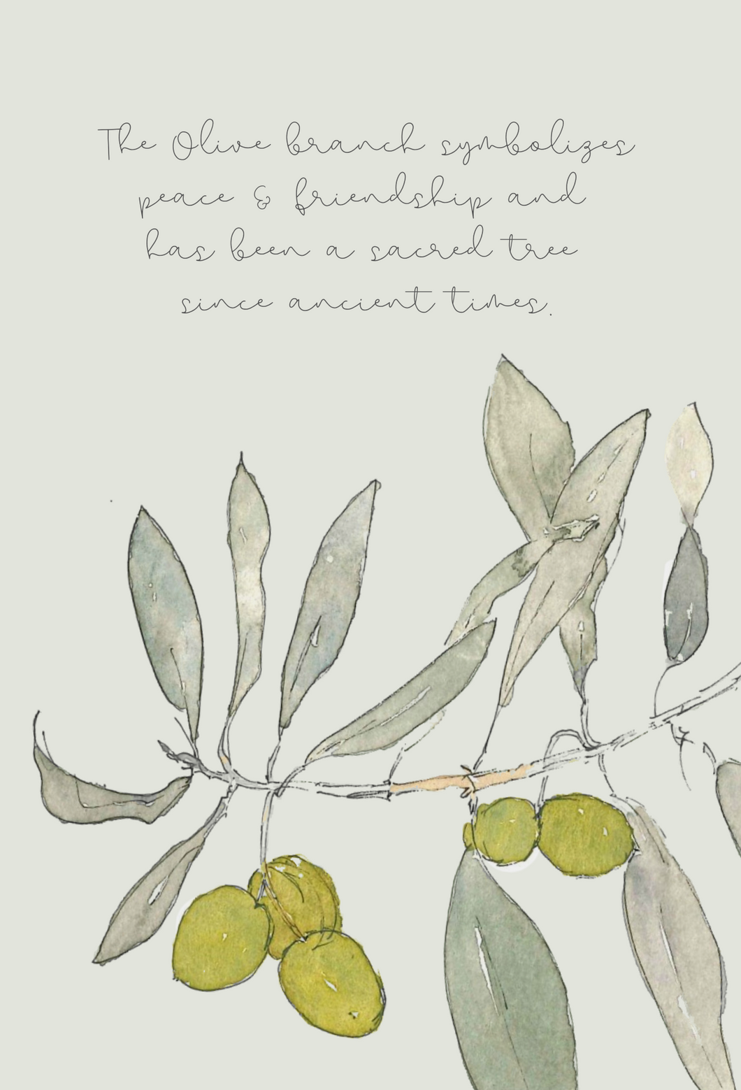Olive BRANCH greeting card – Leafy Lexicon