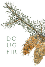 Doug Fir greeting card