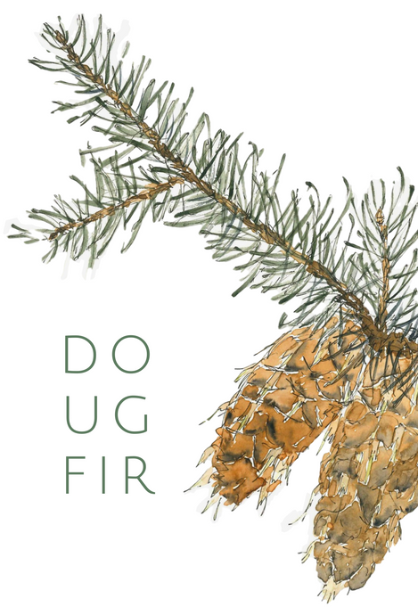 Doug Fir greeting card