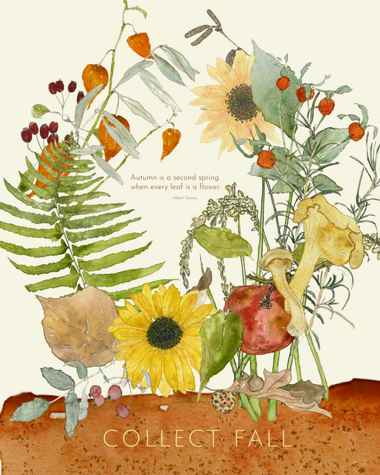 Mini poster-Collect Fall