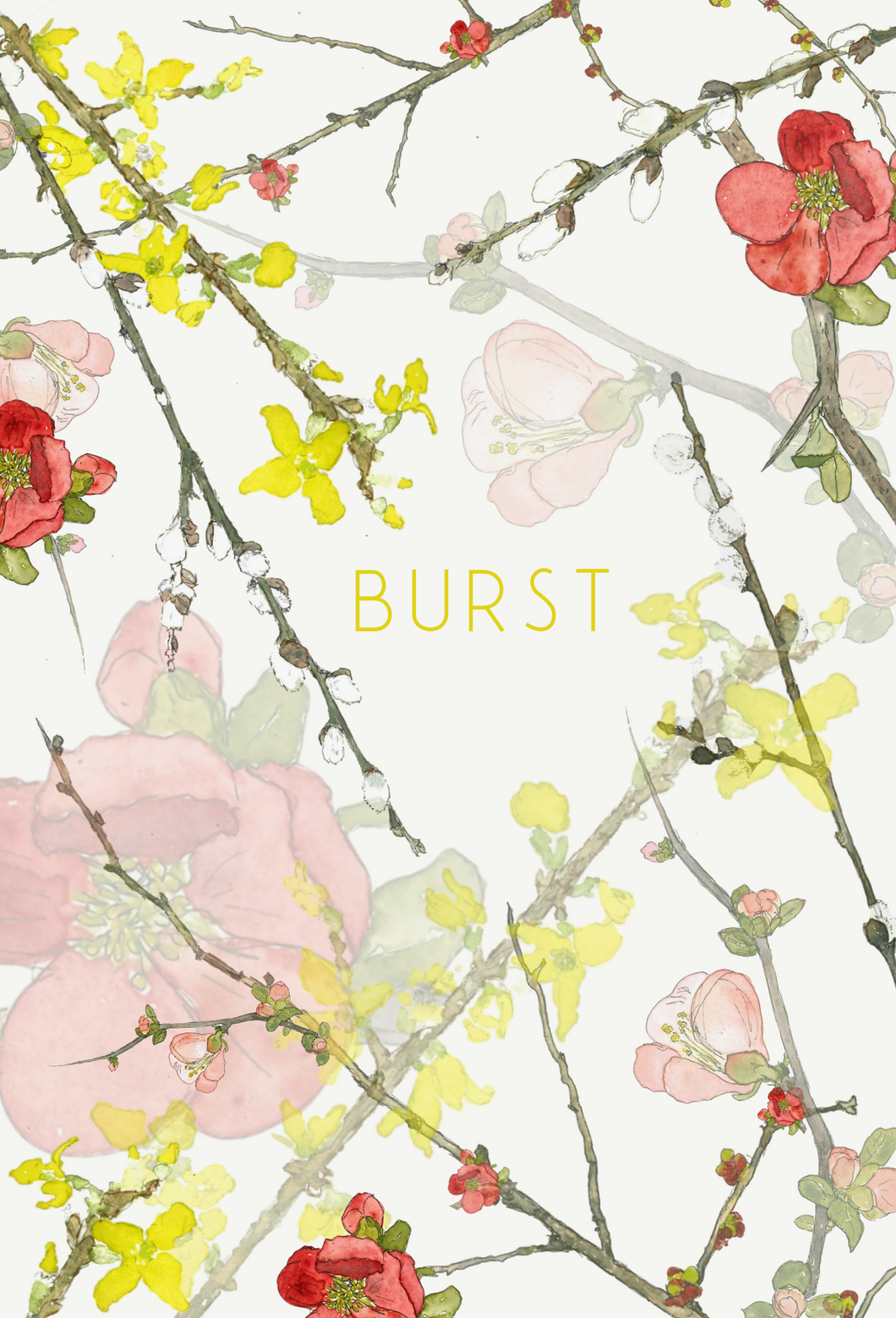 Burst! greeting card