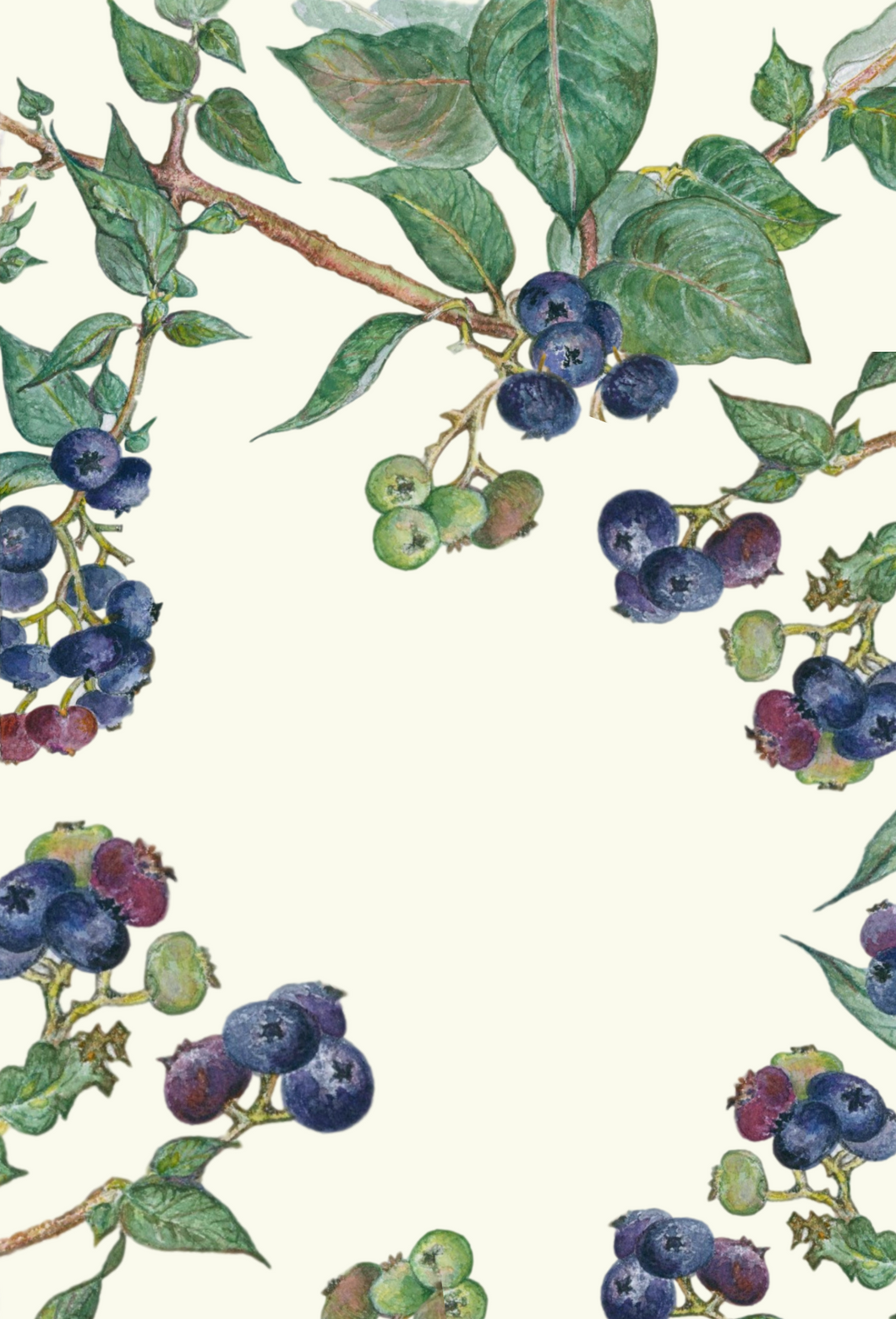 Blueberry greeting card