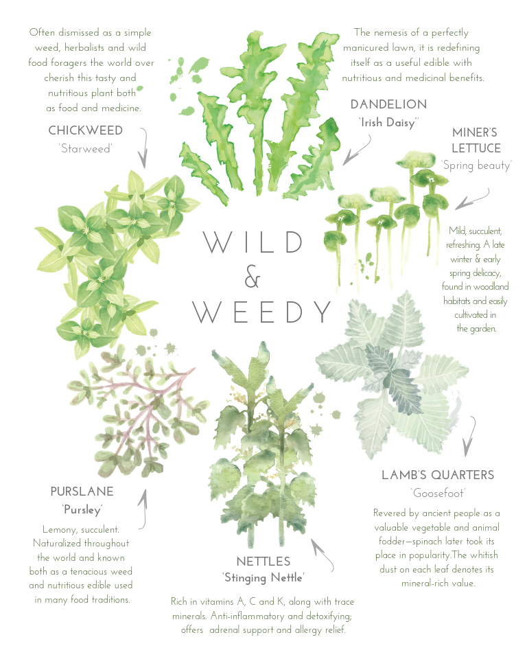 Wild & Weedy poster