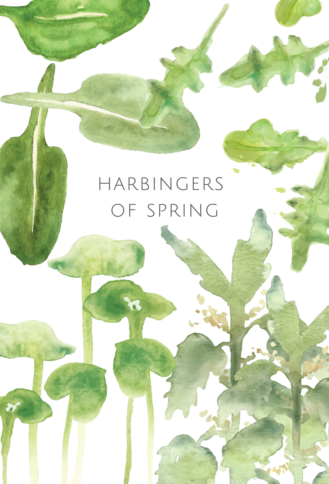 Harbingers of Spring greeting card