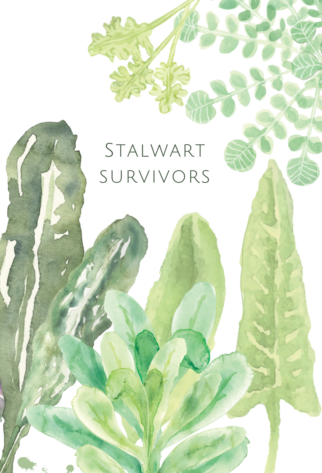 Stalwart Survivors greeting card