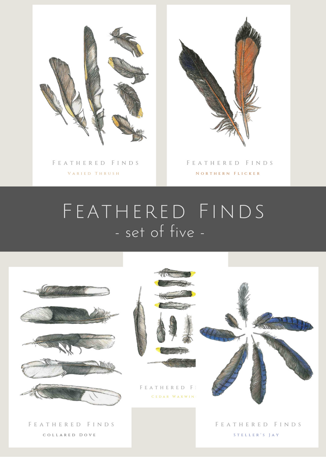 Collection of 5, Feathered Finds greeting cards