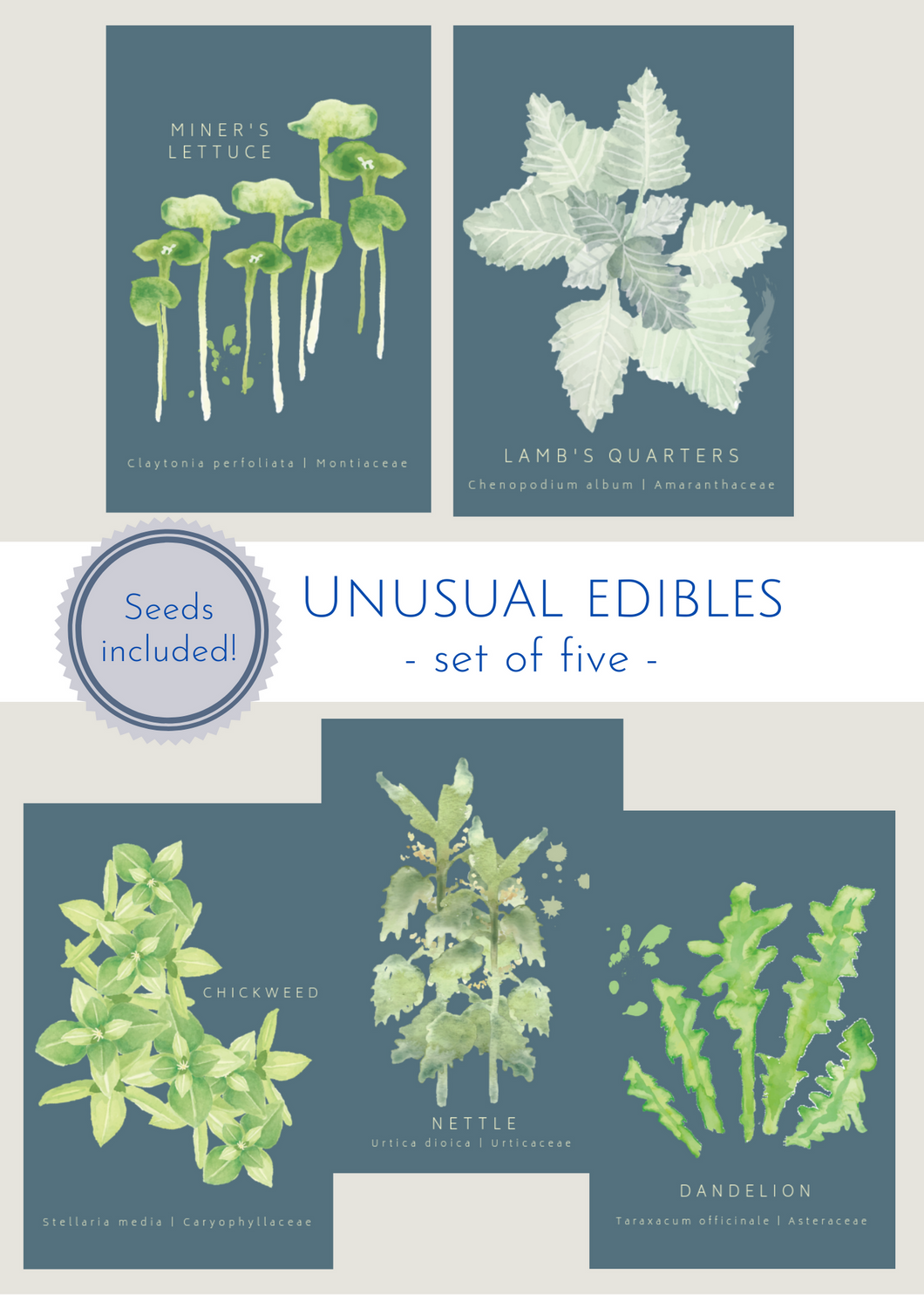 Unusual Edibles—set of 5