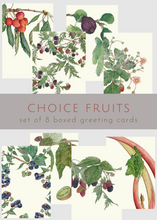 Choice Fruits—boxed set of 8