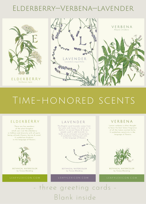 Time-Honored Scents